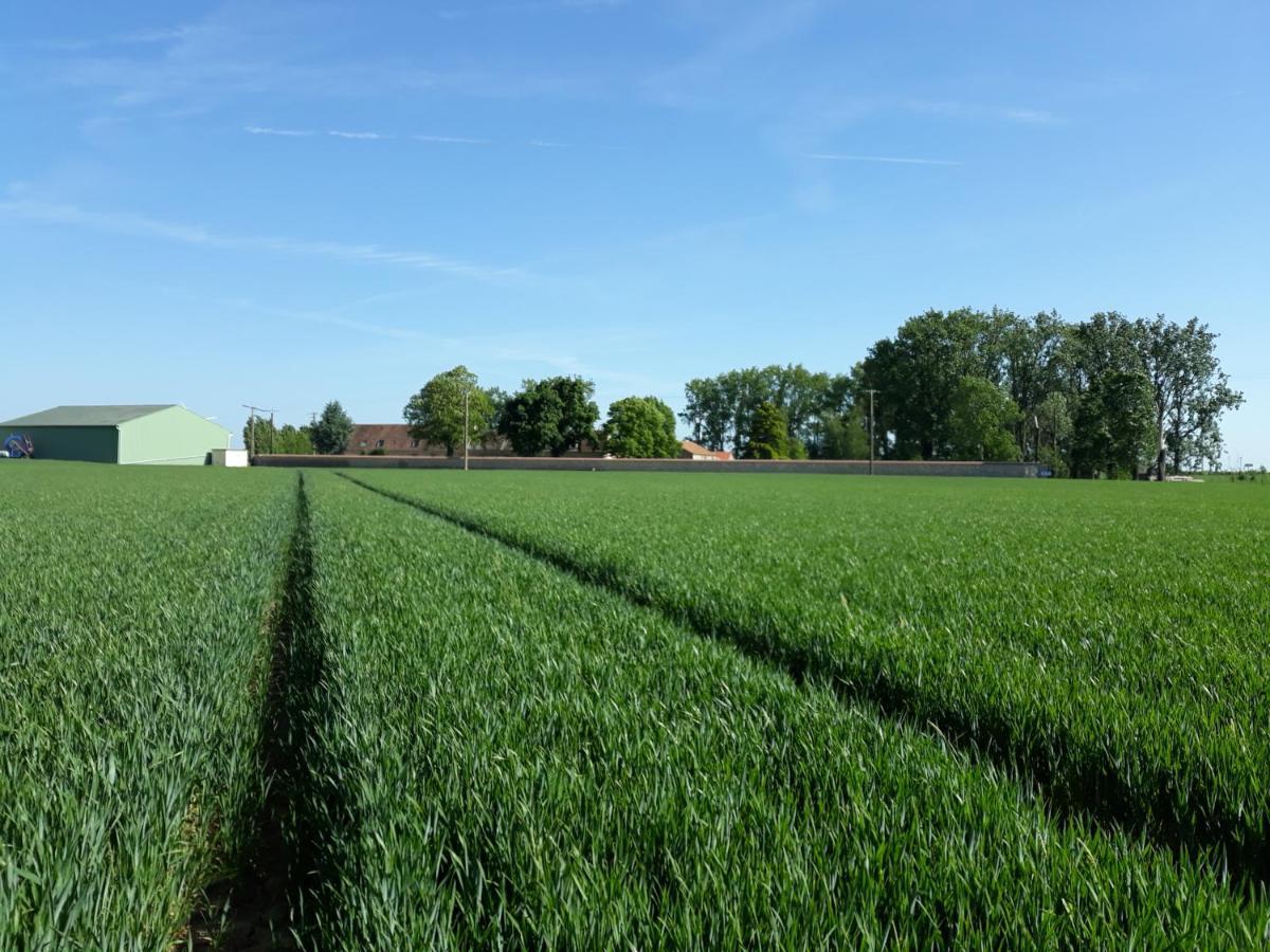 Beauvilliers Ferme De Mesangeon别墅 外观 照片
