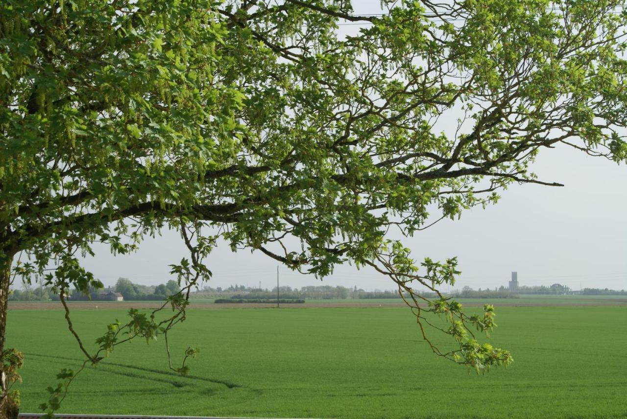 Beauvilliers Ferme De Mesangeon别墅 外观 照片